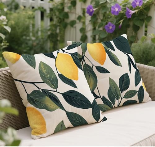 Herbst Kissenbezug 55x55 Grün Kissenbezug Zitrone Muster Leinen Weich Sofakissen 2er Set Quadratische Dekokissen Mit Unsichtbarem Reißverschluss Kuschelkissen Home Decor Garten Outdoor Kissen w-92 Herbst Kissenbezug 55x55 Grün Kissenbezug Zitrone Muster Leinen Weich Sofakissen 2er Set Quadratische Dekokissen Mit Unsichtbarem Reißverschluss Kuschelkissen Home Decor Garten Outdoor Kissen w-92 von Wangdoud