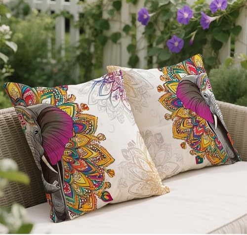 Kissenbezug 40x40 Farbe Kissenbezug Deko Wohnzimmer Herbst Samt Kuschelkissen Elefant Muster Sofakissen Kopfkissenbezug 2er Set Quadratische Kissenhülle für Zimmer Sofa Garten Outdoor Kissen w-119 Kissenbezug 40x40 Farbe Kissenbezug Deko Wohnzimmer Herbst Samt Kuschelkissen Elefant Muster Sofakissen Kopfkissenbezug 2er Set Quadratische Kissenhülle für Zimmer Sofa Garten Outdoor Kissen w-119 von Wangdoud