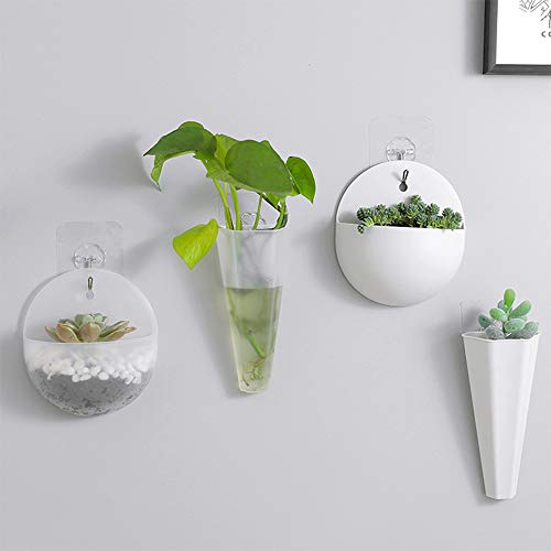 Wankd 2 Stück Kreative Plastik Wandvase Wandbehäng Pflanzgefäße Blumentopf, hängender Pflanzenbehälter für Hydrokultur Pflanzen, Dekoration für Hause Wohnzimmerwand, Weiß + transparent (12 * 13.5CM) von Wankd