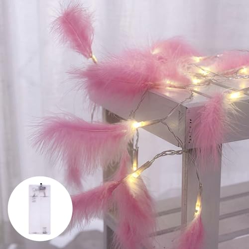 Wankd 2M 20 Federn mit 20er Micro LED Lichterkette Kupfer Warmweiß mit Batterie Lichterkette für Party Garten Weihnachten Halloween Hochzeit Beleuchtung Deko (Pink) von Wankd