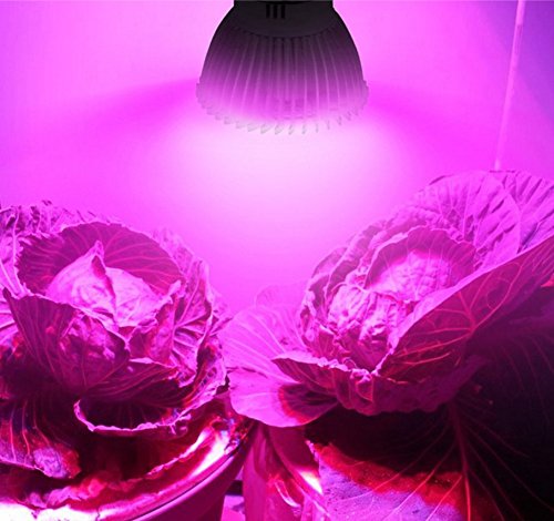 Wankd LED Pflanzenlampe, Pflanzenlampe 18W LED Pflanzenlampe Vollspektrum E14 Weiß Pflanzenlicht für Zimmerpflanzen LED Grow Light Wachstumslampe für Garten, Blumen, Gemüse, Obst (E14) von Wankd