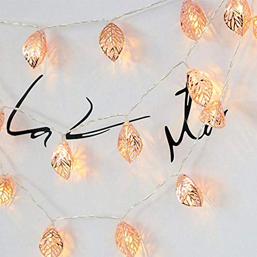 Wankd Lichterkette federn, LED-Lichterkette, Metall, 1,5M, 10 LEDs, Rotgold, Federform, batteriebetrieben, für Innenbereich, Schlafzimmer, Hochzeit, Party, Dekoration, Warmweiß von Wankd