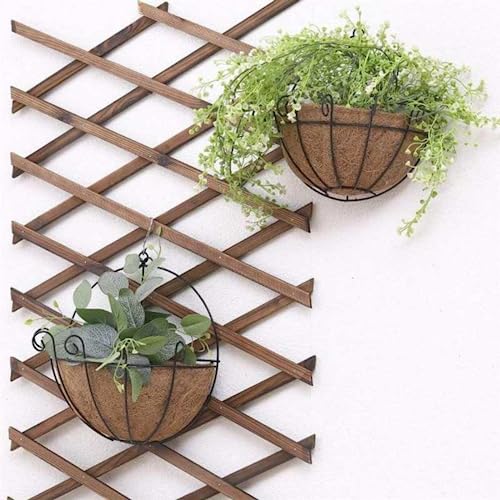 Wankd Pflanzenhalter, Wandhalterung, 2PCS Übertopf Blumenkorb Kokos Schale Blumentopf Deko Eisen Korb Indoor Outdoor Blumentopf Flower Halter für Haus Garten Balkon Dekoration, 10inch von Wankd