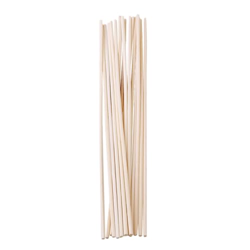 30St Diffusor-Sticks Diffusor für ätherische Öle gießen Haustier Sinn -Öl Parfümöl rattanstäbchen Aroma difusser Poröse Duftstäbchen duftdefuser aromadiffusor Bambus Warmhm von Warmhm