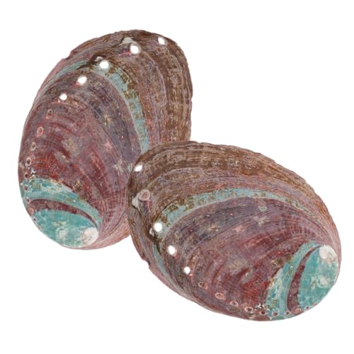 Warmhm 2stücke Natürliche Abalone-Muschel Für Räuchern Muschelornament Mit Rauer Oberfläche Behälter Zum Verbrennen Von Gras Haushaltsdekoration Aus Muschelmaterial von Warmhm