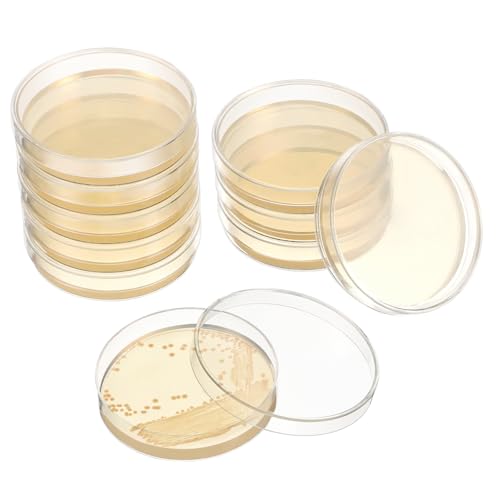 Warmhm 20 Stck Petrischalen mit Vorgegossenem Nähragar Dicke Agarplatten für Schnelle Mikrobiologische Kulturen Laborbedarf für Wissenschaftliche Experimente und Gewebekultur Praktisch Warmhm 20 Stck Petrischalen mit Vorgegossenem Nähragar Dicke Agarplatten für Schnelle Mikrobiologische Kulturen Laborbedarf für Wissenschaftliche Experimente und Gewebekultur Praktisch von Warmhm