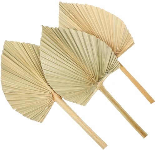 Warmhm 3 Stück Getrocknete Palmwedel Deko Natürliche Wandkunst Boho Hochzeit Tischdeko Tropische Party Dekoration Rustikale Kunstblätter Warmhm 3 Stück Getrocknete Palmwedel Deko Natürliche Wandkunst Boho Hochzeit Tischdeko Tropische Party Dekoration Rustikale Kunstblätter von Warmhm