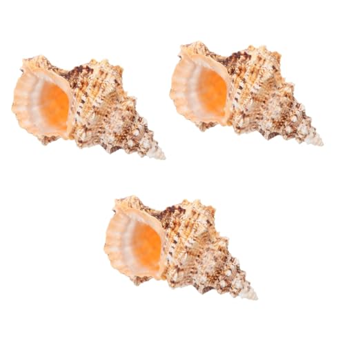 Warmhm 3St Eimer mit Muschelblumengesteck künstlich kleine Vase Netz ästhetisch Makramee einmachgläser blumenvasen bastelset bastelsachen Muschel schmücken dekoratives Muscheldekor Hülse von Warmhm