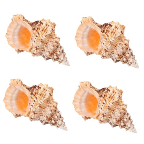 Warmhm 4 Stück Eimer Mit Muschelblumengesteck Trendy Fisch Kleine Behälter Mit Deckel Trendige Inneneinrichtung Moderne Einrichtung Ästhetisch Cremefarbene Vase Terrakotta Hülse von Warmhm