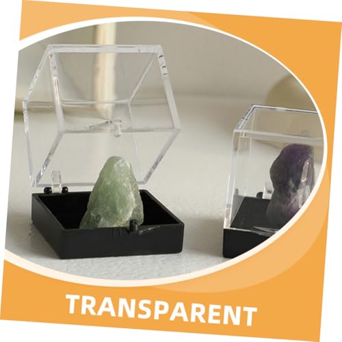 Warmhm 4 Stück Miniatur Vitrinen Schwarz Mineralien Aufbewahrungsboxen mit Einzigartigem Beschriftungssystem für Schmuck Edelsteine Münzen und Sammlerstücke Klar Robust Leicht zu von Warmhm
