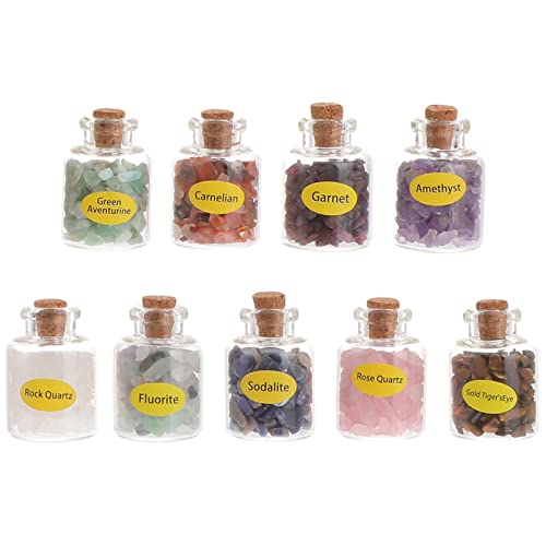 Warmhm 9stücke Mini Edelsteinflaschen Set Aus Glas Für Wohndekoration Und Schmuckherstellung Mit Trommelsteinen Und Chip Edelsteinen Im Set Für Geschenkideen von Warmhm