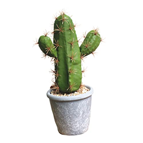 Warmhm Quadratische Wasserflasche Künstlicher Kaktus Kunstpflanze Kaktus Tropische Pflanzen Künstliche Sukkulenten Künstliche Pflanzen von Warmhm