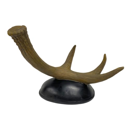 Warmhm Rustikaler Weinflaschenhalter aus Harz Kleiner Weinständer für Tisch und Küchenarbeitsplatte Minimalistisches Weinregal mit Glatten Kanten Weinlager Display für Weinliebhaber Warmhm Rustikaler Weinflaschenhalter aus Harz Kleiner Weinständer für Tisch und Küchenarbeitsplatte Minimalistisches Weinregal mit Glatten Kanten Weinlager Display für Weinliebhaber von Warmhm