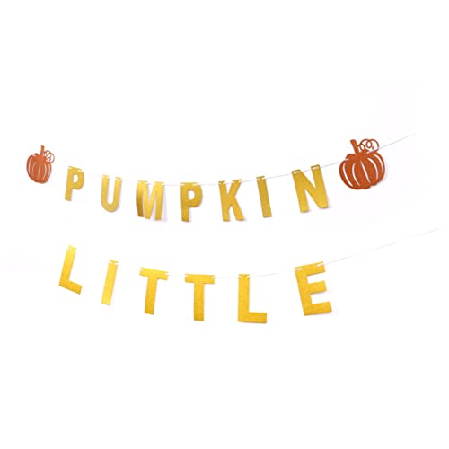 Warmhm Thanksgiving Girlande Little Pumpkin Pull Flag aus Hochwertigem Papier Glitzernde Kürbis Deko für Party Kamin und Fenster Festliche Erntedank Dekoration Einfach Aufzuhängen Warmhm Thanksgiving Girlande Little Pumpkin Pull Flag aus Hochwertigem Papier Glitzernde Kürbis Deko für Party Kamin und Fenster Festliche Erntedank Dekoration Einfach Aufzuhängen von Warmhm