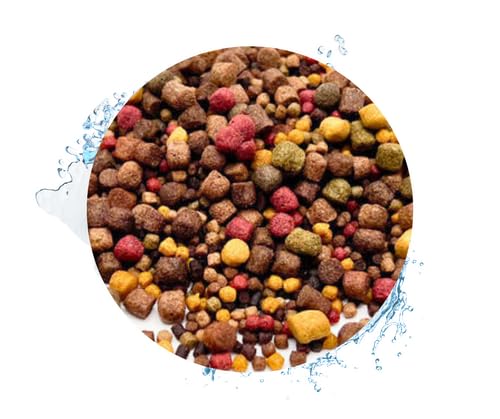 Warnick's Koifutter 5-Sorten-Mix mit Spirulina - 5 L, 3-6 mm im Eimer - Fischfutter für Koi & Zierfrische - schwimmfähig & gut verdaulich von Warnick´s Tierfutterservice