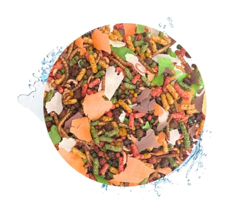 Warnick's Tierfutterservice Fischfreude 360 Grad - 10 Liter, 2 Eimer - Rundum-Mix für Teichfische mit Koipellets, Teichsticks, Quellflocken & mehr von Warnick´s Tierfutterservice