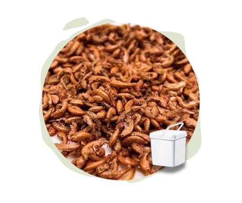 Warnick´s Tierfutterservice Naturhäppchen - Bachflohkrebse, Gammarus 5.000 ml - Naturfutter für Fische & Reptilien Warnick´s Tierfutterservice Naturhäppchen - Bachflohkrebse, Gammarus 5.000 ml - Naturfutter für Fische & Reptilien von Warnick´s Tierfutterservice