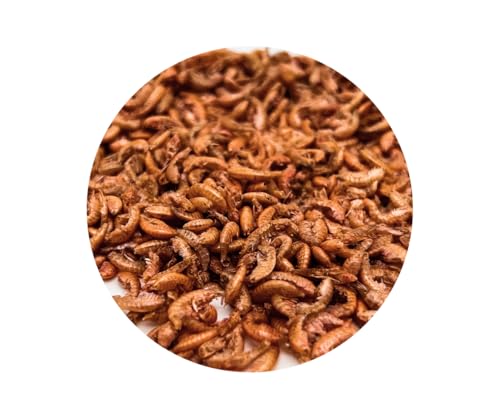 Gammarus - Bachflohkrebse, Koifutter, Reptilienfutter von Warnick´s Tierfutterservice 3000ml von Warnick´s Tierfutterservice