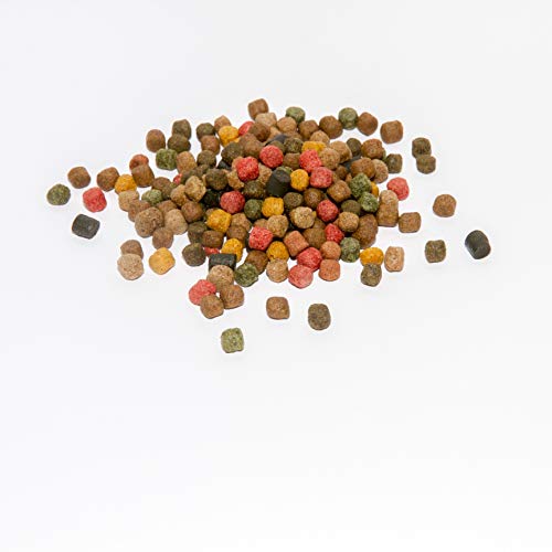 Warnicks Tierfutterservice KOI - KOIFUTTER 10-Sorten-Mix 5 kg mit Spirulina & Paprika (3mm) von Warnick´s Tierfutterservice