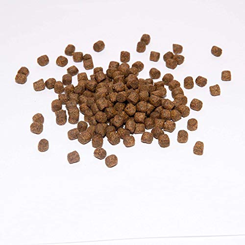 Warnick´s Tierfutterservice Koi Koifutter * Top Energy Plus * 5KG (6mm) von Warnick´s Tierfutterservice