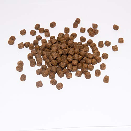 Koi Koifutter * Top Energy Plus * 5KG von Warnick´s Tierfutterservice (8mm) von Warnick´s Tierfutterservice