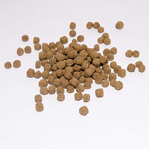 Warnick´s Tierfutterservice Koi Koifutter 15 kg * Wheatgerm * für Frühjahr & Herbst in 3mm von Warnick´s Tierfutterservice