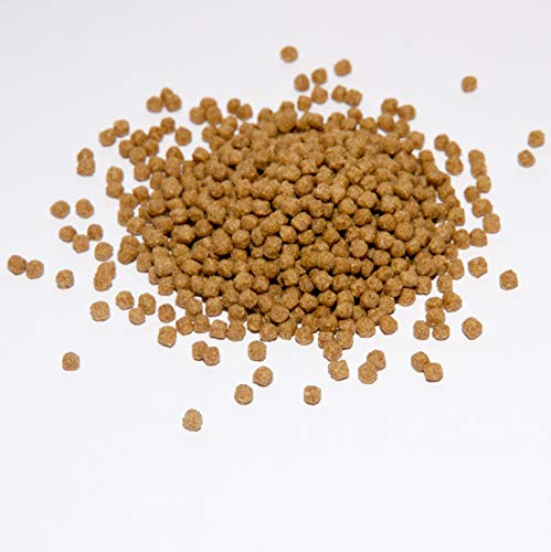 Warnick´s Tierfutterservice Koi Koifutter 5 kg * Wheatgerm * in 3mm für Frühjahr & Herbst von Warnick´s Tierfutterservice