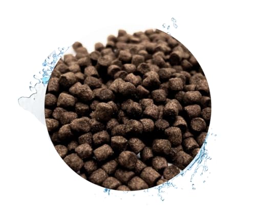 Warnick´s Tierfutterservice Fischfutter Koi - Koifutter Wheatgerm, 5kg in 6mm Pellets, für Frühjahr & Herbst, Teichfutter schwimmend, Teichfischfutter von Warnick´s Tierfutterservice