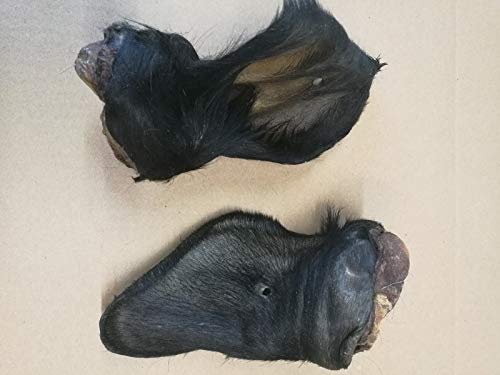 Warnicks Tierfutterservice Rinderohren mit Fell (10 Stück) von Warnick´s Tierfutterservice