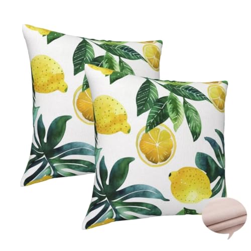 Kissenbezug 30x30 cm 2er Set Deko Kissen Gelb Kuschelkissen, Quadratisch Kissenbezug Zitrone Sofakissen, Leinen Cushion Cover Doppelseitig Zierkissen für Auto Couch Schlafzimme, Vier Jahreszeiten -J10 von Washifa