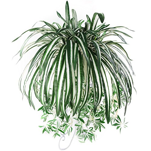 Washranp 1 Stück Chlorophytum Comosum Faux Greenery Home Hotel Decor Künstliche Spinnenpflanze, Outdoor Pflanzen Für Bauernhaus Hausgarten Hochzeit Indoor Outdoor Decor von Washranp