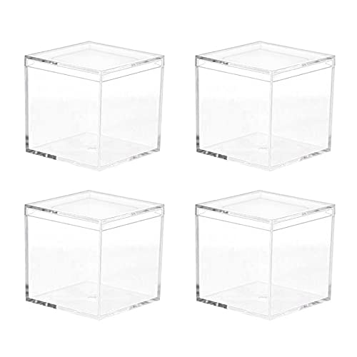 Washranp 4 Stück Aufbewahrungsbox Süßigkeiten Box Candy PS Transparent Verpackung Box Aufbewahrungsbehälter Organizer Box Etui für Hochzeit oder kleine Gegenstände Klar B von Washranp