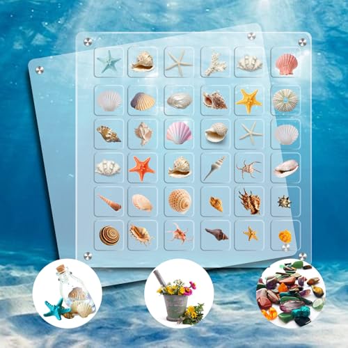 WatDenyFine 36 Quadrate Muschel Sammelbox Seashell Display Box Display Shell Acrylbox Display Box Muschel Box Kann zur Aufbewahrung von Muscheln Schmuck Nägeln und Perlen Verwendet Werden（Quadrat） von WatDenyFine