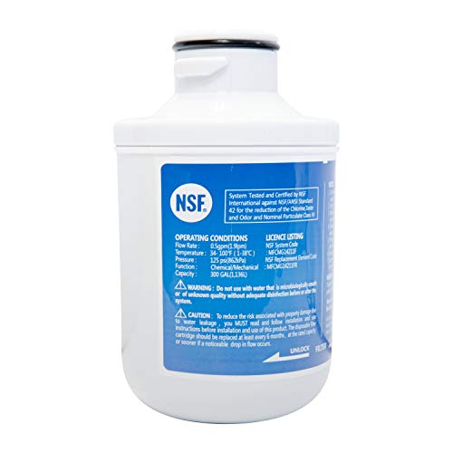 Wasserfilter kompatibel mit Comfee SBSIB 502 NFA+ und Exquisit SBS530-3FCA+, SBS530-3FCBA+ Side-by-Side Kühlschrank-Filter - Filterpatrone 307203200002, 307203200005 (1er Pack) von Water Filter