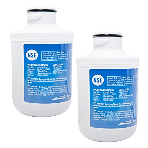 Wasserfilter kompatibel mit Comfee SBSIB 502 NFA+ und Exquisit SBS530-3FCA+, SBS530-3FCBA+ Side-by-Side Kühlschrank-Filter - Filterpatrone 307203200002, 307203200005 (2er Pack) von Water Filter
