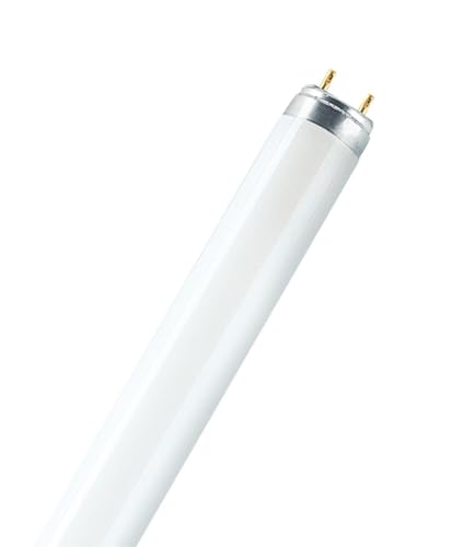 WatioWave Leuchtstoffröhre T8, 18 W, 2700 K, 590 mm, ideal für warme Beleuchtung in Büros und Wohnräumen. von WatioWave