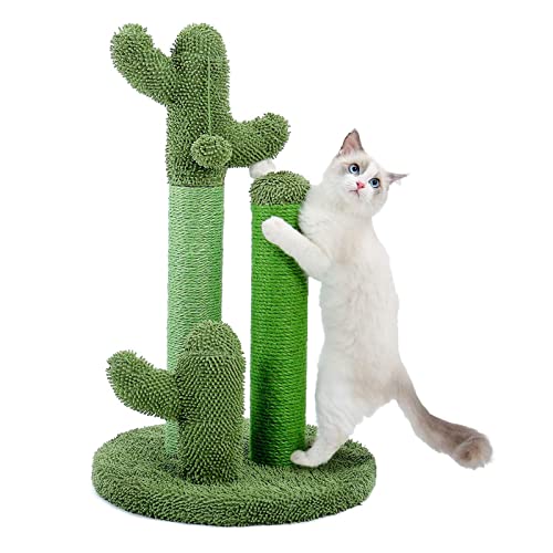 Cactus Für Katzenkratzer Kätzchen Kratzer Nach Natural Sisal Seil Grüne Baumunterhaltungsmittel Mittelgroße Katzen Katzenkratzer Spielzeug Kratzer Mit Kugel Innenkatzen Möbel Groß von Watreketal