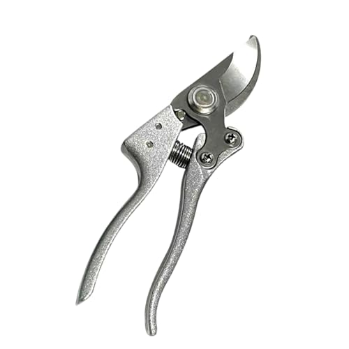 Gartenschere Pflanze Schere Handwerkzeug Zum Schneiden Von Blumen Trimmpflanze Pflücken Obst Werkzeuggarten Garten Gartenschere Pflanze Schere Handwerkzeug Zum Schneiden Von Blumen Trimmpflanze Pflücken Obst Werkzeuggarten Garten von Watreketal