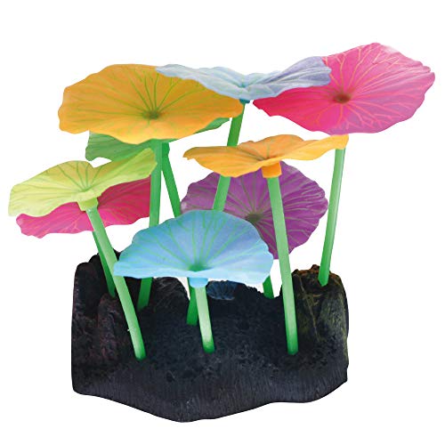 Wave A8011613 Fluo Reef, 9.8 x 7.5 x 11 cm, Lotus von Wave