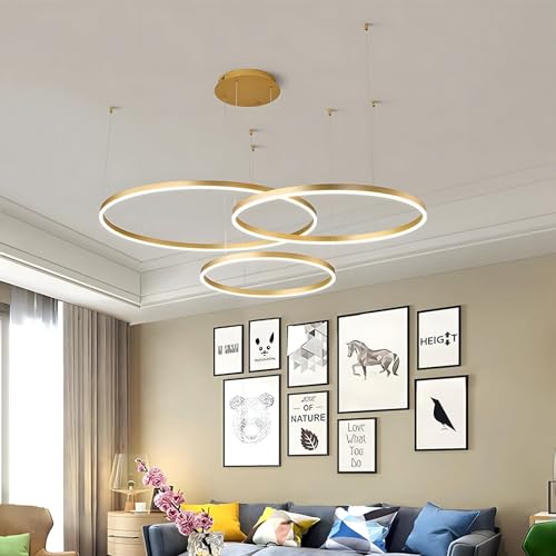 WayLuoung Metall LED Kronleuchter | 3 Kreise 40+60+80cm | 90W Rings Deckenhängelampe, Dimmbare Fernbedienung 3000–6000K, Acryl Schirm Pendelleuchte, Wohnzimmer Schlafzimmer Foyer Esszimmer【Gold】 von WayLuoung