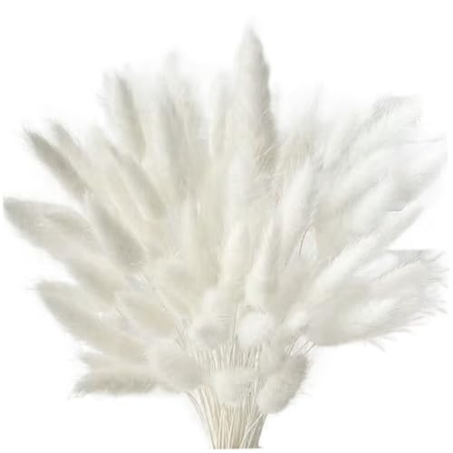 60pcs Pampas Grasdekor 17 Zoll Simulation Faux Pampas Gras Witzige DIY -Fotografie Requisiten Einfach zu verwenden Boho -Blumen für Home Wedding Decor Handwerk, Whitepampas 60pcs Pampas Grasdekor 17 Zoll Simulation Faux Pampas Gras Witzige DIY -Fotografie Requisiten Einfach zu verwenden Boho -Blumen für Home Wedding Decor Handwerk, Whitepampas von Wbaioluy