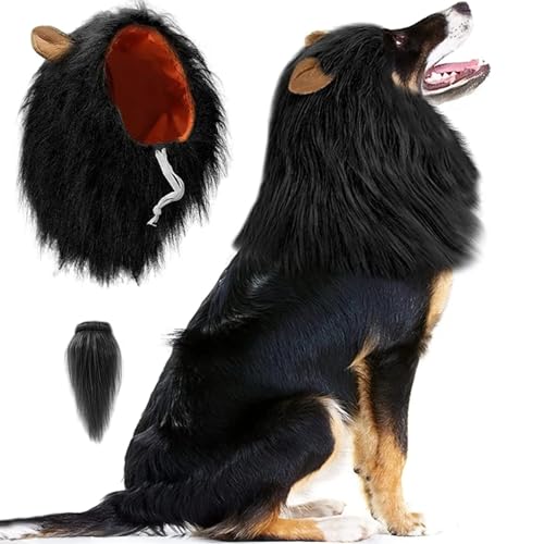 Mähne für Hund mit Schwanz niedliche Hundehähne mit Ohren Witzige Kostüm Dekoratives realistisches Kostüm für Halloween -Fotoshootings Party, M -Perücke Mähne für Hund mit Schwanz niedliche Hundehähne mit Ohren Witzige Kostüm Dekoratives realistisches Kostüm für Halloween -Fotoshootings Party, M -Perücke von Wbaioluy