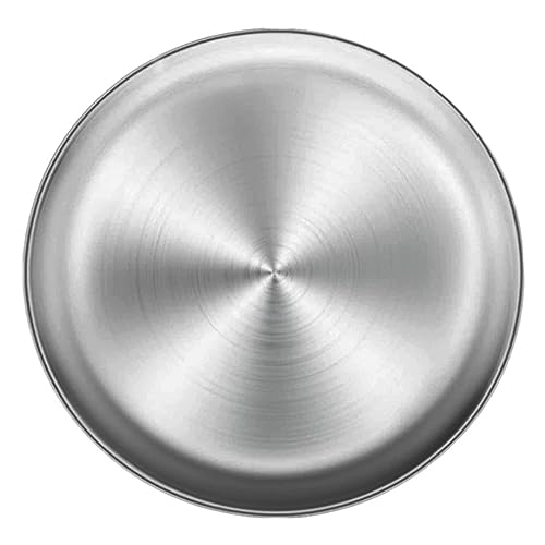 Wbaioluy Edelstahl -Pizza -Pfanne rundes Metall Multifunktionaler Aufbewahrungsschale für Obstkuchen 26 cmstainless Stahlpizza Tablett von Wbaioluy