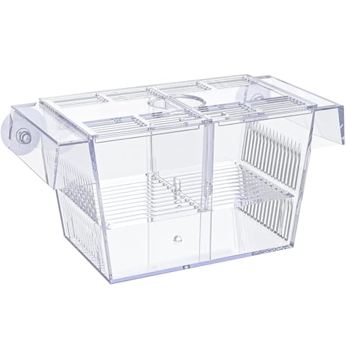 Züchterbox für Fischtank Multi -Kompartiment Fischisolation Box für Aquarium mit Saugnapfbecher und Fütterungsanschluss transparentes ABS -Zucht für Babys, Shrimps Isolation für Aquarium von Wbaioluy