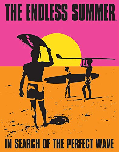 Metall-Blechschild Endless Summer, 30,5 x 20,3 cm (B x H) von Wcguokj