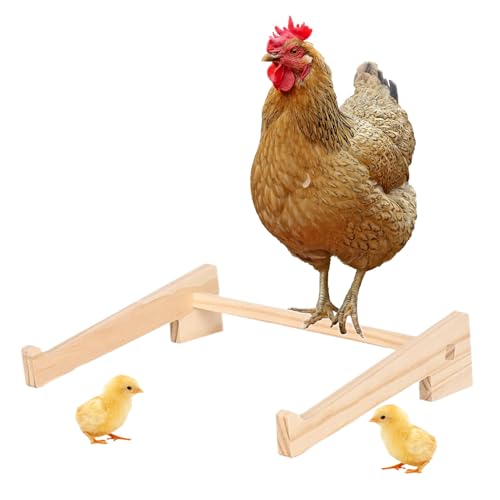 Sitzstange für Hühnerstall, Holz, Sitzstange für Hühner, Training, Roosting, Aktivitätsausrüstung für Vögel, Geflügel, Brutküken Sitzstange für Hühnerstall, Holz, Sitzstange für Hühner, Training, Roosting, Aktivitätsausrüstung für Vögel, Geflügel, Brutküken von Wcybym