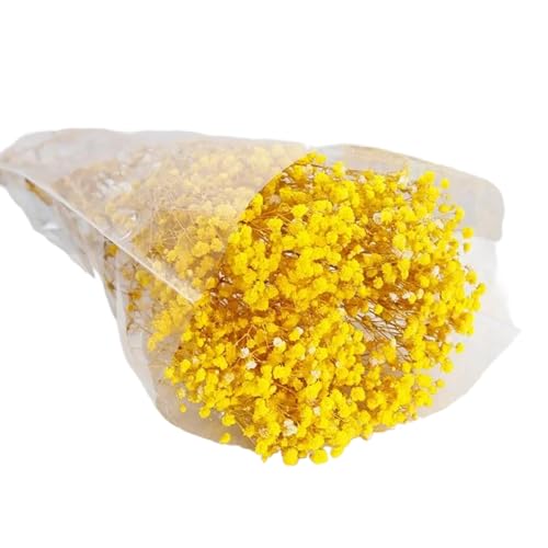 Atemblume des Getrockneten Babys 19 7 Zoll Natürlicher Trockener Gypsophila Für Vase Arrangements Hausdekoration Hochzeitssträuße von Wdbild