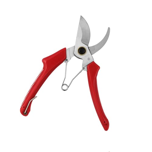 Bypass Bypass Beschneidung Von Kohlenstoffstahl Für Gartenfruchtbaum Trimmen Und Pflanzentransplantation Handwerkzeug Professionelle Gartenschere Bypass Bypass Beschneidung Von Kohlenstoffstahl Für Gartenfruchtbaum Trimmen Und Pflanzentransplantation Handwerkzeug Professionelle Gartenschere von Wdbild