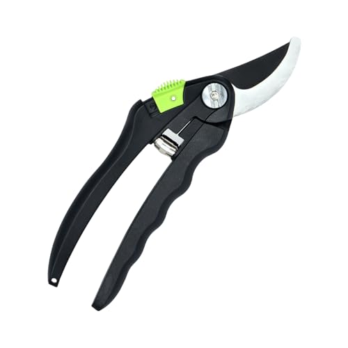 Heavy Duty Hand Pruner Scissors Garten Schnittschere Werkzeug Zum Schneiden Von Obst Und Branchen Mit Sicherheitsschlossdesigns Stahldreher von Wdbild