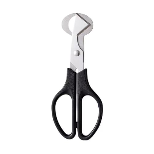 Wachtel Eieröffner Schere Bequeme Und Komfortable Grip Edelstahl Küchenschere Für Effiziente Küche Verwenden Eierschere Wachtel Eieröffner Schere Bequeme Und Komfortable Grip Edelstahl Küchenschere Für Effiziente Küche Verwenden Eierschere von Wdbild